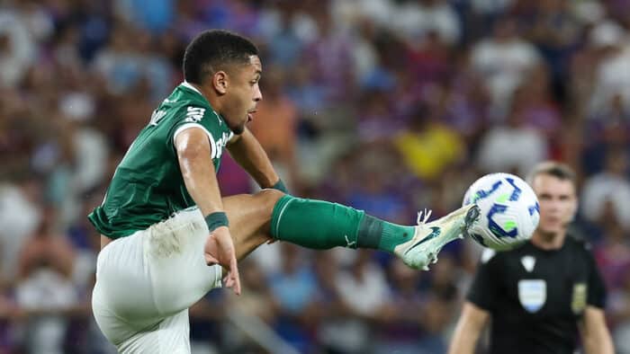Palmeiras coloca a culpa no estádio do Fortaleza por lesões