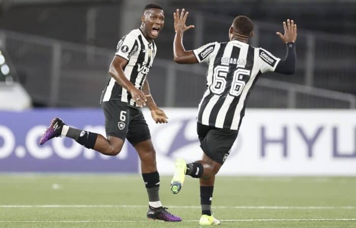 Botafogo conquista vitória no limite e respira na Libertadores 