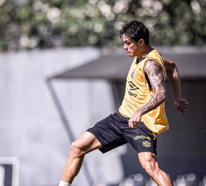 Santos revela proposta do Porto por JP Chermont