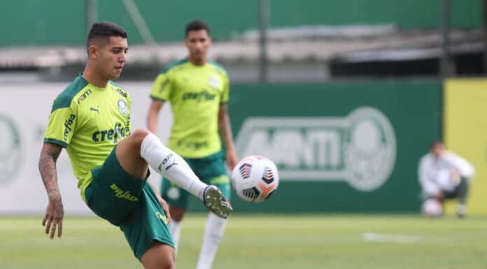 Botafogo insiste em contratação de Pedro Bicalho ou Júlio Romão - Botafogo